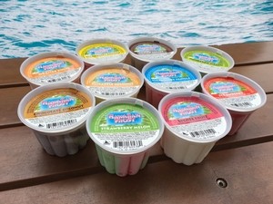 4 oz cups of Samurai Brand Hawaiian Frost Frozen Dairy Treats in cups on a wood bench next to the ocean. Flavors shown are Strawberry Melon, Lychee Fruit, Strawberry, Strawberry Vanilla, Pineapple Coconut, Chocolate Coconut, Orange Swirl, Strawberry Banana, Island Coffee, and Honeydew Melon.